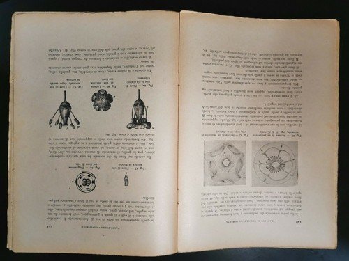 TRATTATO DI VITICOLTURA MODERNA volume I Carpentieri 1947 Ottavi Libro …