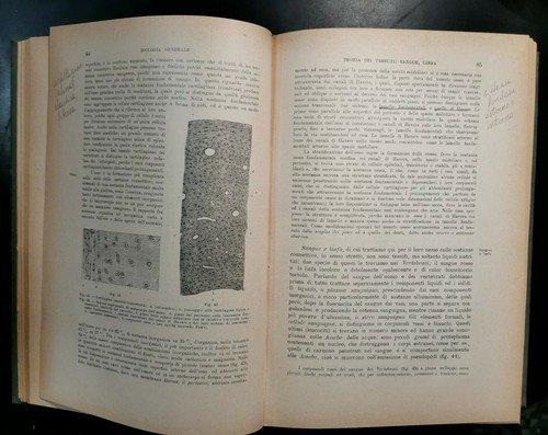 TRATTATO DI ZOOLOGIA di R Hertwig 1928 Vallardi Editore Libro …