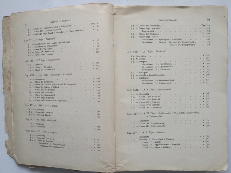 TRATTATO DI ZOOLOGIA volume II di Augusto Stefanelli Libro sistematica …