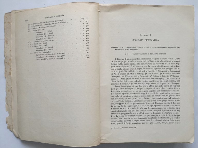 TRATTATO DI ZOOLOGIA volume II di Augusto Stefanelli Libro sistematica …