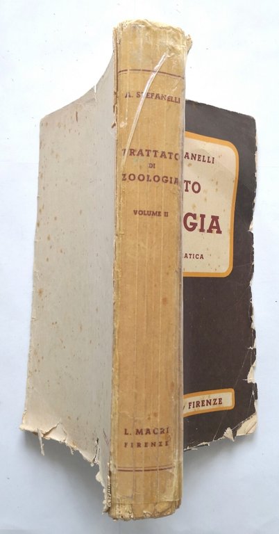 TRATTATO DI ZOOLOGIA volume II di Augusto Stefanelli Libro sistematica …
