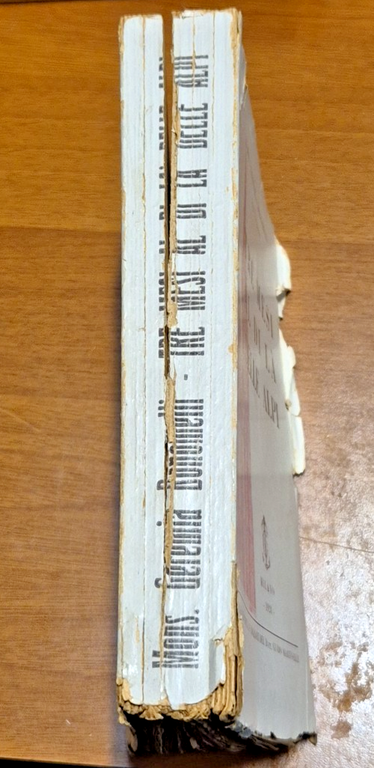 TRE MESI AL DI LÀ DELLE ALPI di Geremia Bonomelli …