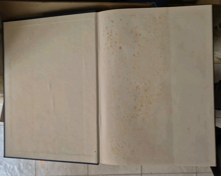 TUTTE LE NAVI MILITARI D' ITALIA 1861 - 1986 REPERTORIO …