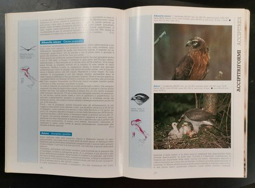 UCCELLI D'ITALIA di Brichetti Cagnalaro Spina 1986 Giunti libro byrd …