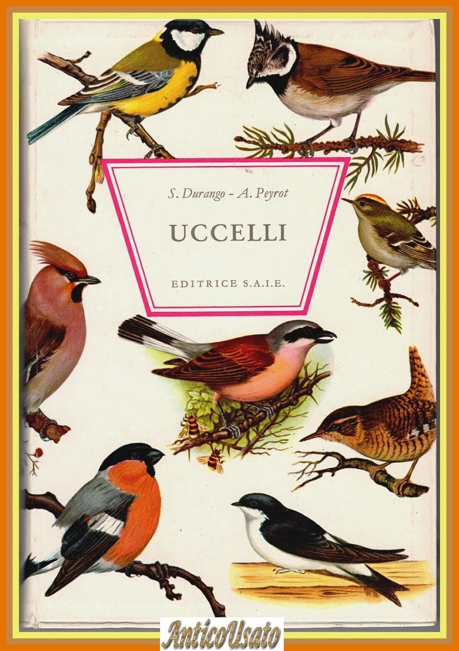 UCCELLI di S Durango A Peyrot 1970 Editrice SAIE Libro | Immagine principale