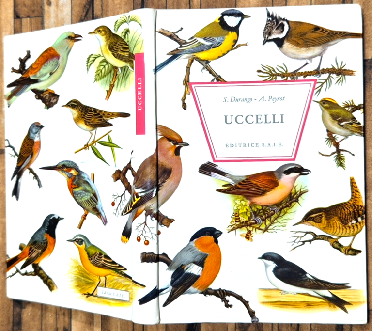 UCCELLI di S Durango A Peyrot 1970 Editrice SAIE Libro | Immagine Gallery 2