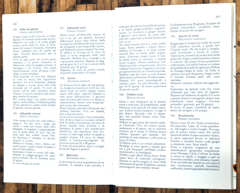 UCCELLI di S Durango A Peyrot 1970 Editrice SAIE Libro | Immagine Gallery 4