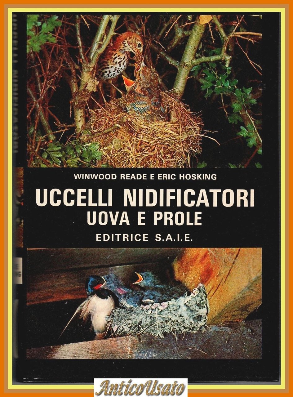 UCCELLI NIDIFICATORI UOVA E PROLE di Winwood Reade Eric Hosking … | Immagine principale