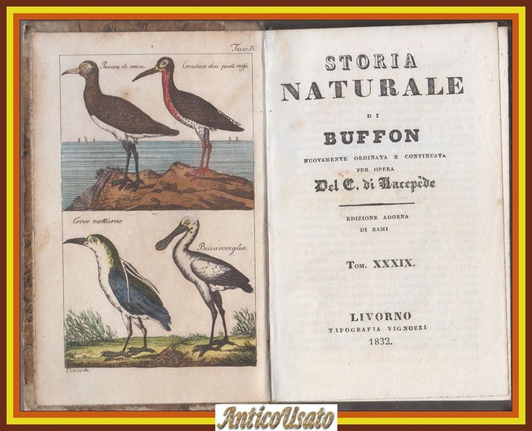 UCCELLI Storia Naturale di Buffon volume 39 Vignozzi 1832 Libro … | Immagine Gallery 1