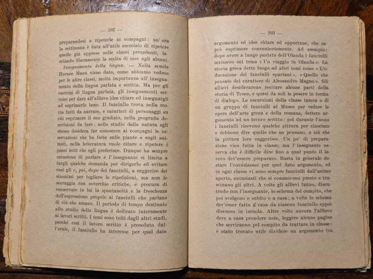 UNA SCUOLA ELEMENTARE DI NEW YORK documenti didattici Horace Mann …