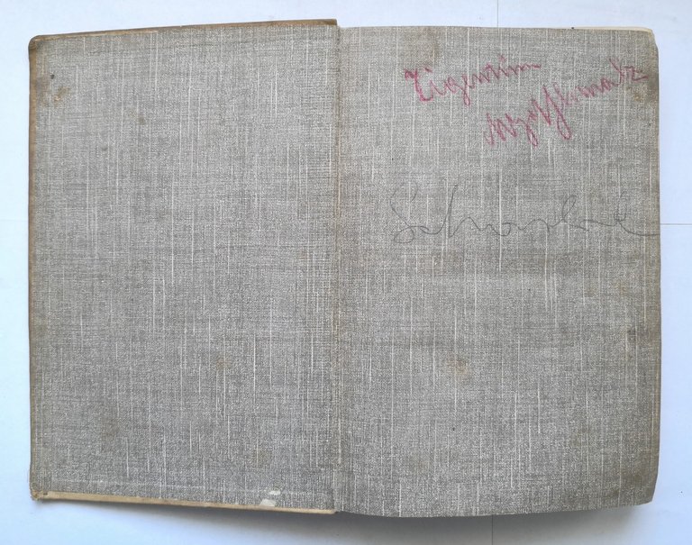 UNHEIMLICHE GESCHICHTEN di Edgar Allen Poe 1915 Robert Luy Libro …