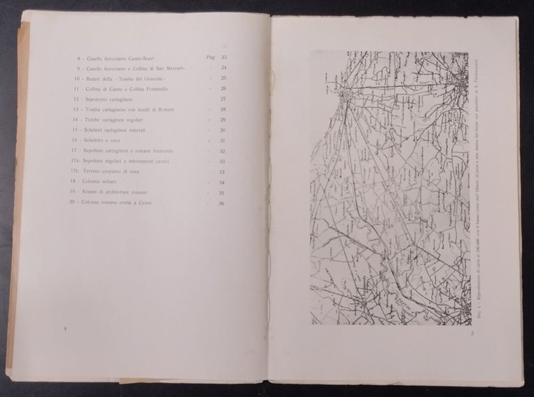 VALORIZZAZIONE DI CANNE DELLA BATTAGLIA Domenico Ludovico AC Aeronautica Libro