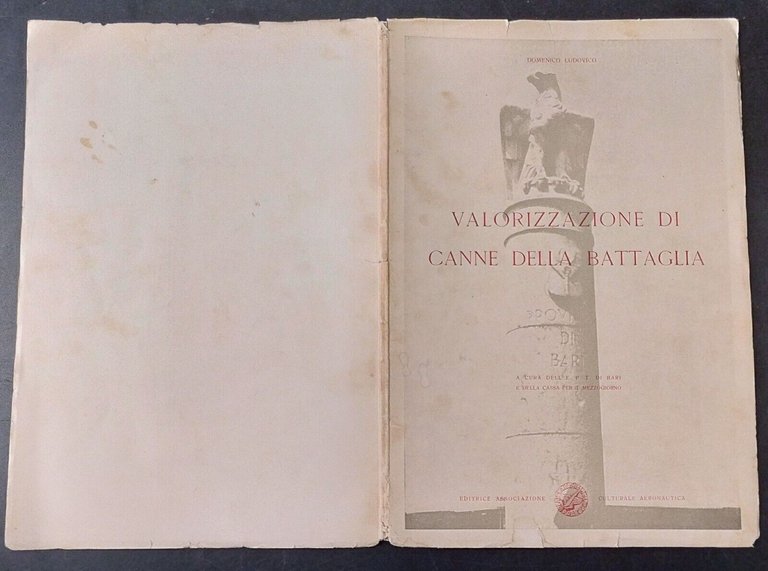 VALORIZZAZIONE DI CANNE DELLA BATTAGLIA Domenico Ludovico AC Aeronautica Libro