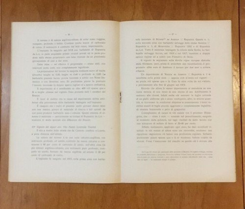 VISITANDO I DEPERIMENTI NEI VIGNETI RICOSTITUITI DEL BASSO BARESE Giuseppe …