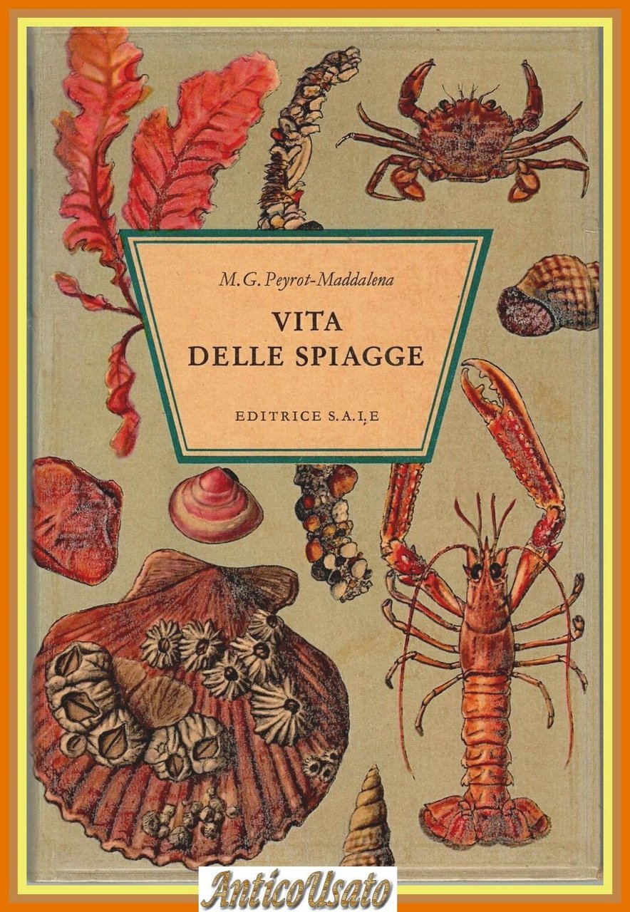 VITA DELLE SPIAGGE di M G Peyrot-Maddalena 1967 Editrice SAIE … | Immagine principale
