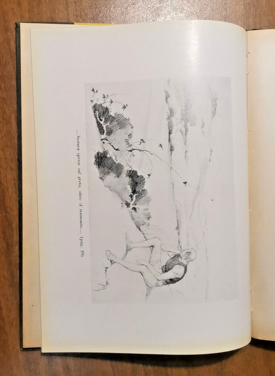VITA DI LEONARDO di Augusto Garsia 1947 Sansoni libro illustrato …