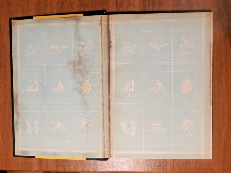 VITA DI MICHELANGELO di Augusto Garsia 1947 Sonzogno Libro illustrato …