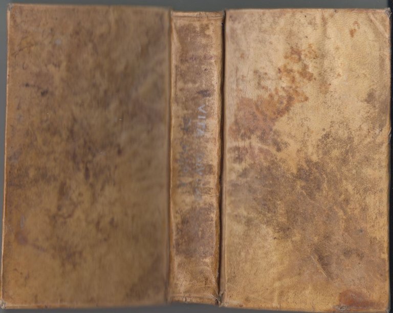 VITA DIVINA DI MARIA SANTISSIMA Bonaventura Amadeo De Cesare 1779 … | Immagine Gallery 3