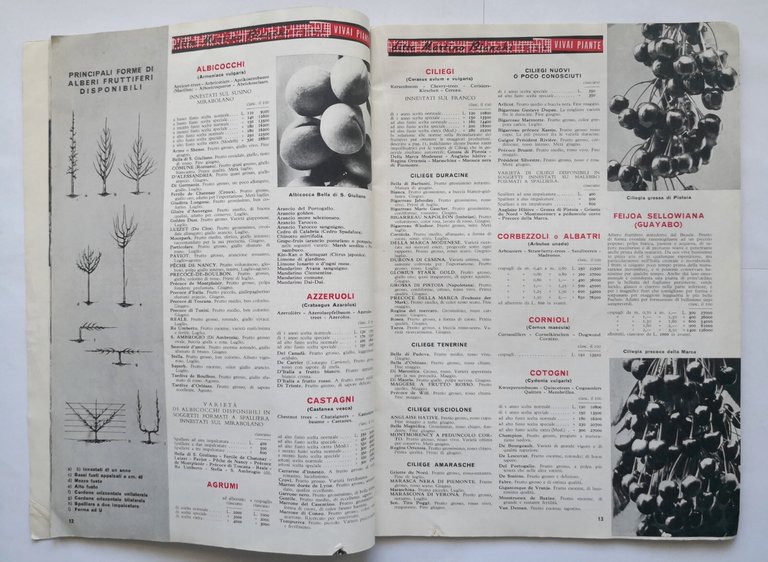 VIVAI PIANTE DITTA MARTINO BIANCHI catalogo Numero 105 settembre 1954 …