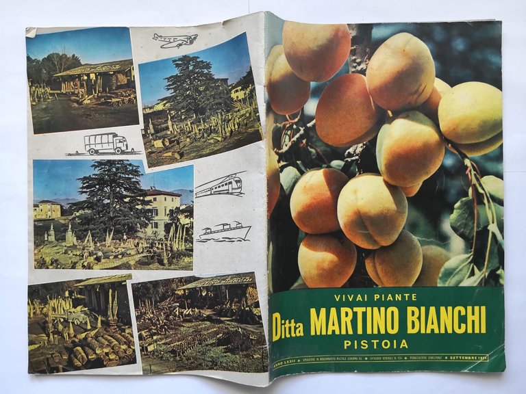 VIVAI PIANTE DITTA MARTINO BIANCHI catalogo Numero 105 settembre 1954 …