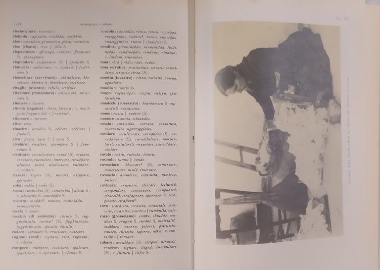 VOCABOLARIO DEI DIALETTI SALENTINI 3 Volumi di Rohlfs 1976 Congedo …