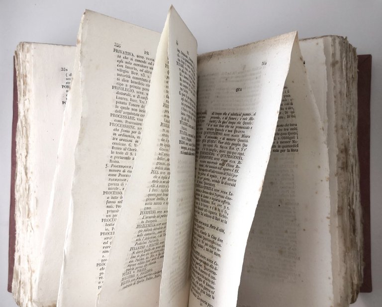 VOCABOLARIO DOMESTICO NAPOLETANO E TOSCANO di Basilio Puoti 1841 Libro …