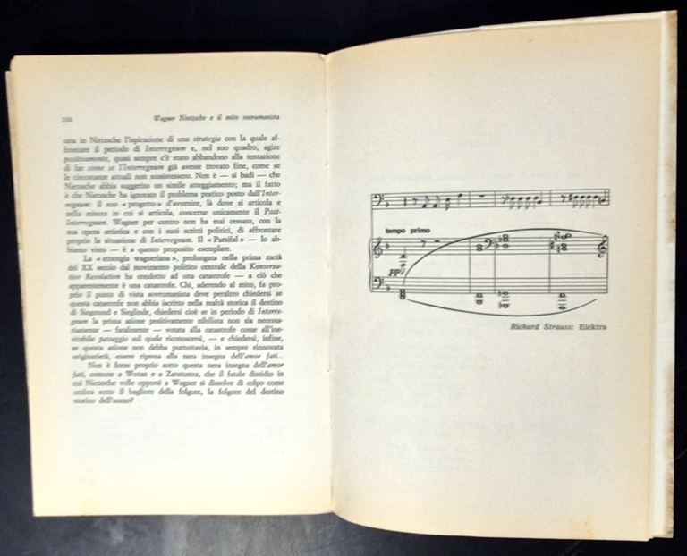 WAGNER NIETZSCHE E IL MITO SOVRUMANISTA di Giorgio Locchi 1982 …