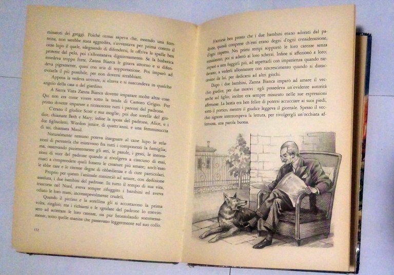 ZANNA BIANCA di Jack London - Editrice Piccoli ginestra Libro …