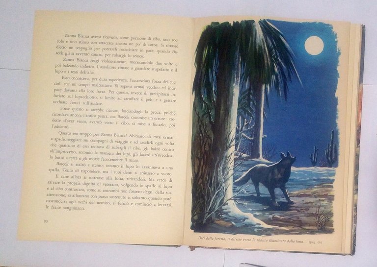 ZANNA BIANCA di Jack London - Editrice Piccoli ginestra Libro …