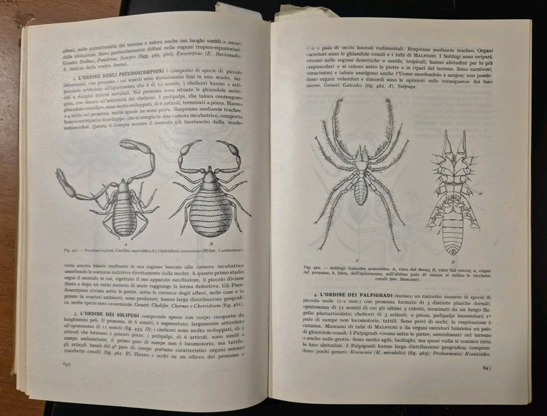 Zoologia di Mario Salfi 1957 Vallardi libro manuale illustrato a …