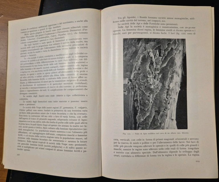 Zoologia di Mario Salfi 1957 Vallardi libro manuale illustrato a …