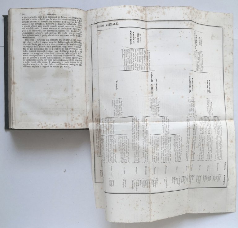 ZOOLOGIA di Milne Edwards 1862 Vallardi Storia Naturale Libro Antico