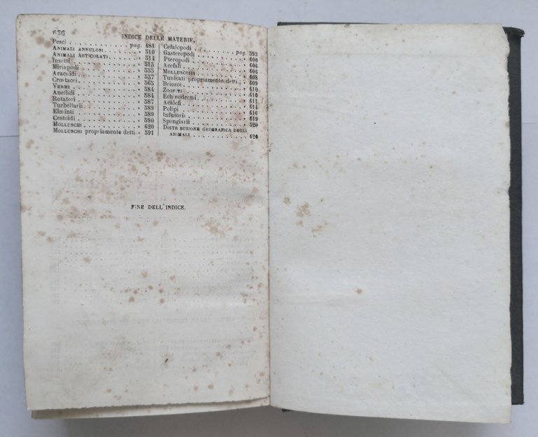 ZOOLOGIA di Milne Edwards 1862 Vallardi Storia Naturale Libro Antico