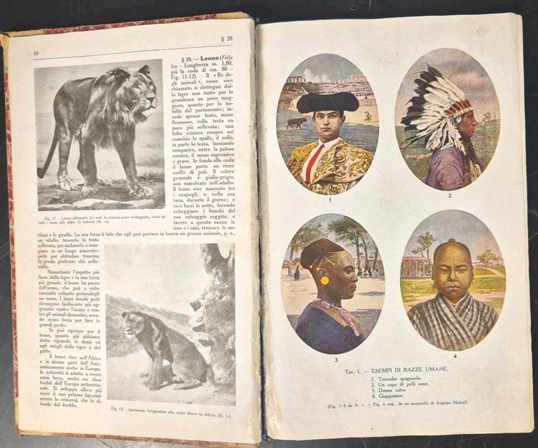 ZOOLOGIA E BOTANICA di Paolo Enriques 1910 Zanichelli ad uso …