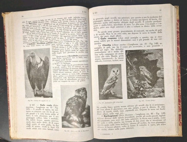 ZOOLOGIA E BOTANICA di Paolo Enriques 1910 Zanichelli ad uso …