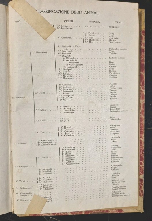 ZOOLOGIA E BOTANICA di Paolo Enriques 1910 Zanichelli ad uso …