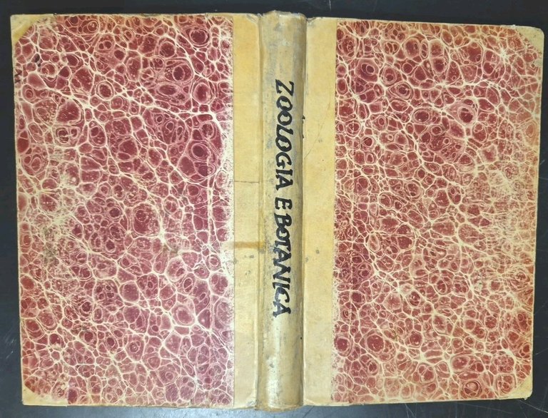 ZOOLOGIA E BOTANICA di Paolo Enriques 1910 Zanichelli ad uso …