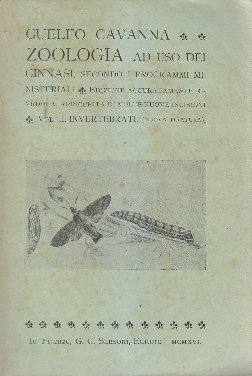Zoologia volume II invertebrati di Guelfo Cavanna 1916 Sansoni Editore …