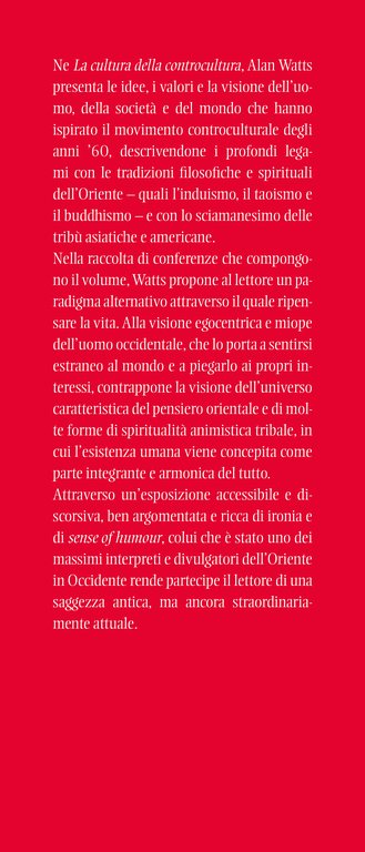 La cultura della controcultura