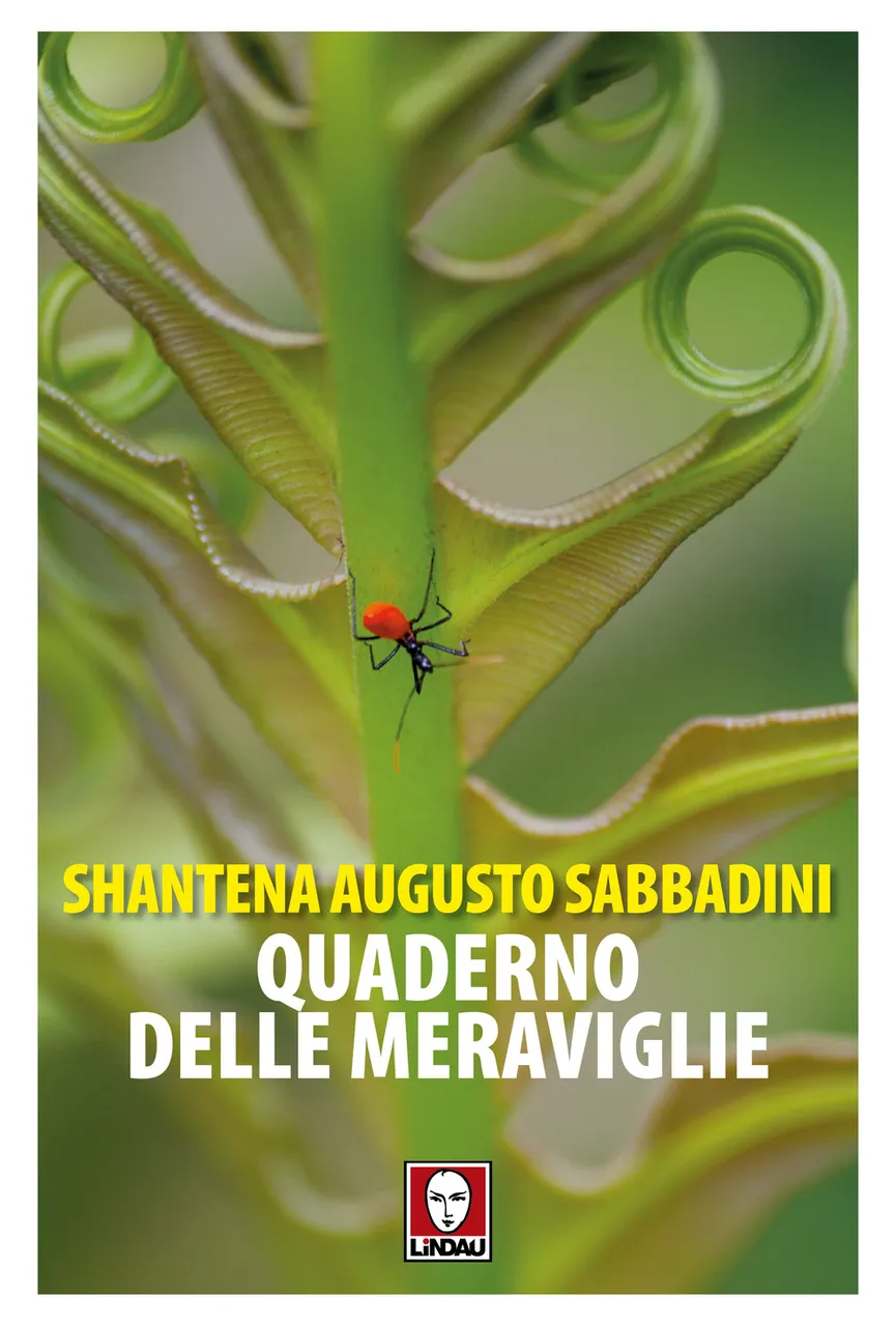 Quaderno delle meraviglie | Immagine principale