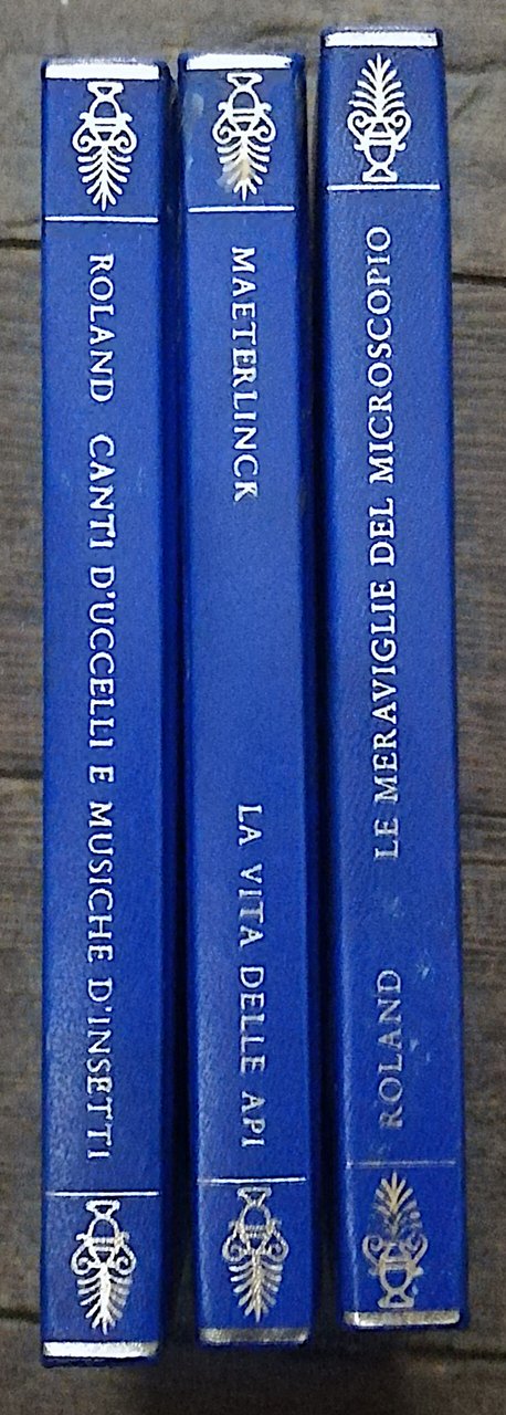 Canti d'uccelli e musiche d'insetti