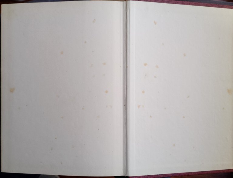 Diari segreti di Spandau