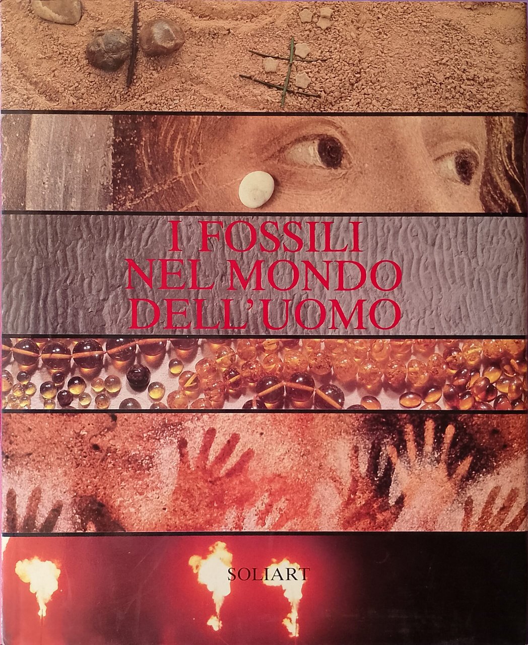 I fossili nel mondo dell’uomo