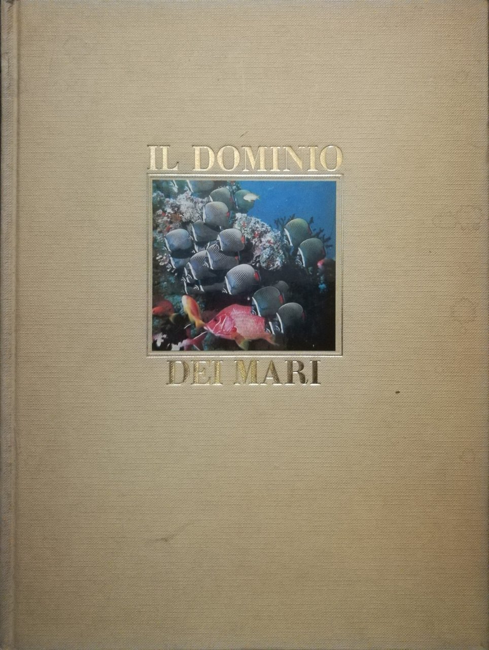 Il dominio dei mari