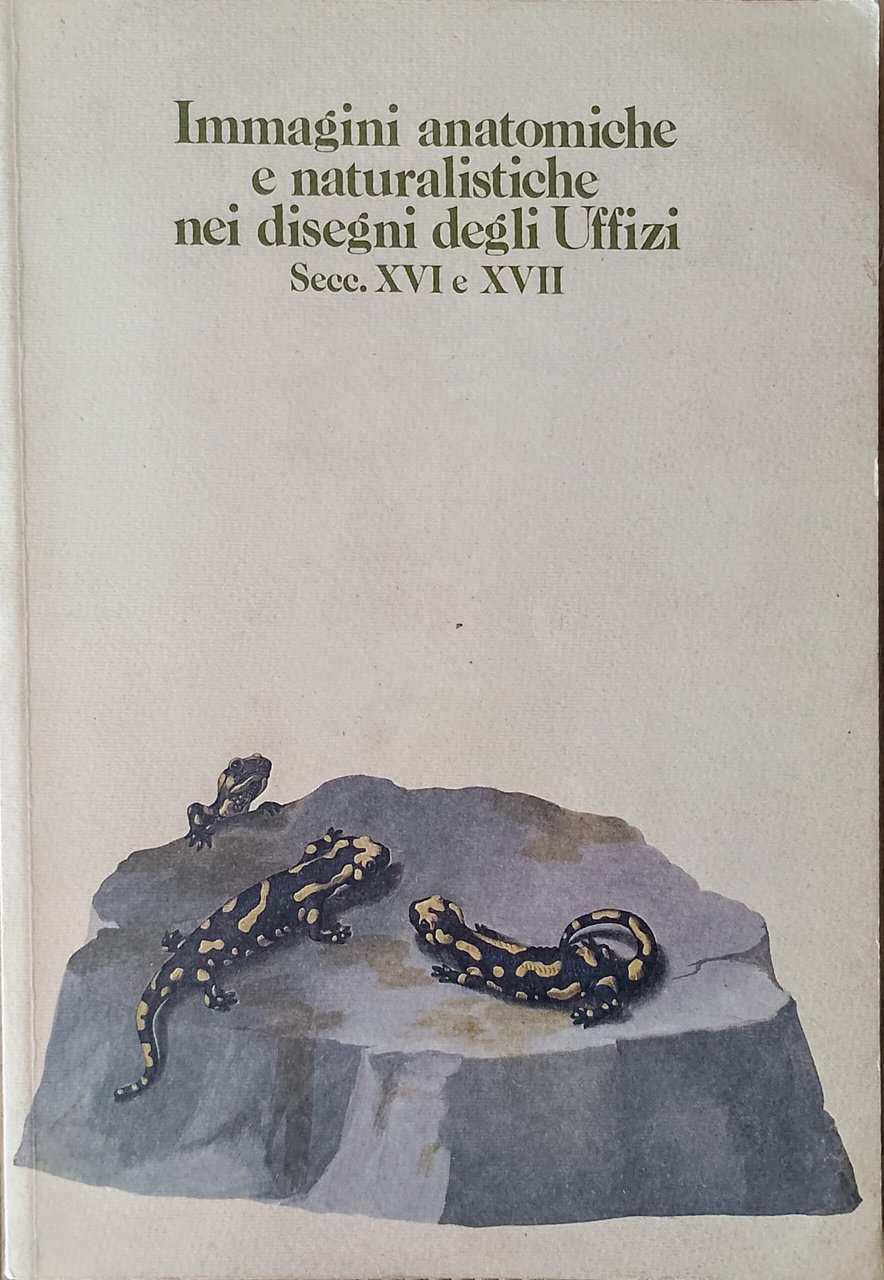 Immagini anatomiche e naturalistiche nei disegni degli Uffizi Secc. XVI …