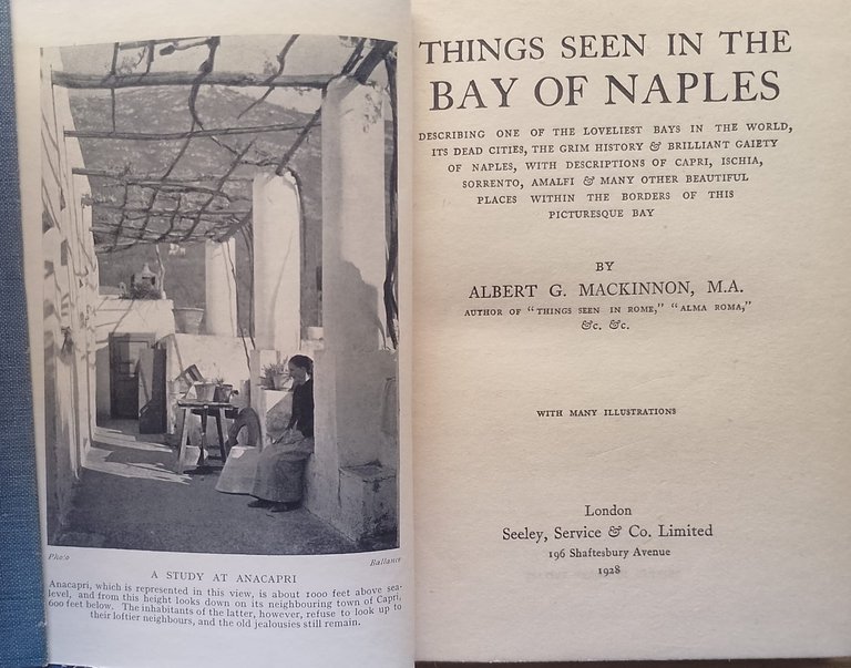 Things seen in the bay of Naples