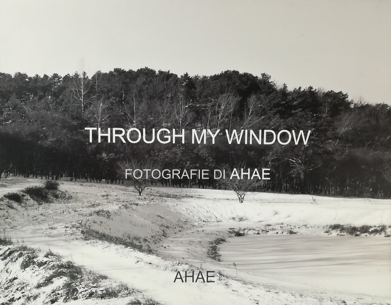 Through my window - Fotografie di Ahae