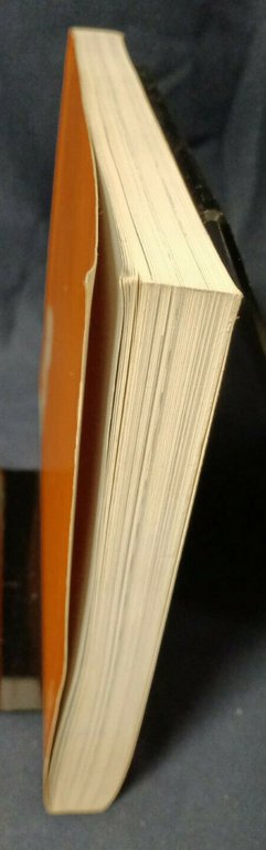 B78 La Biennale di Venezia SETTORE ARTI VISIVE E ARCHITETTURA …