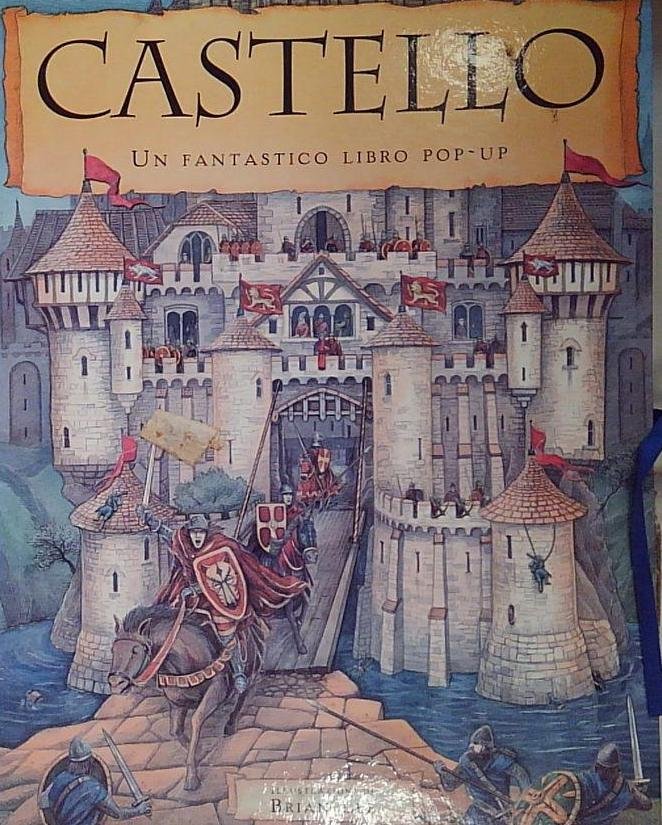 Castello. Libro pop-up. Ediz. illustrata