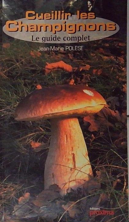 Cueillir les champignons: Le guide complet | Immagine principale
